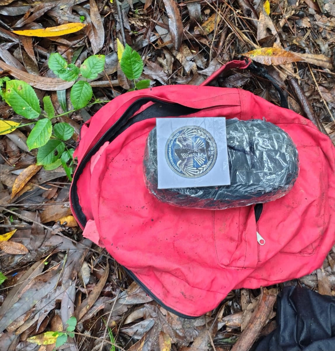 Montecarlo: Patrulla policial frustró un presunto intercambio de droga con un dealer en una zona de monte 2